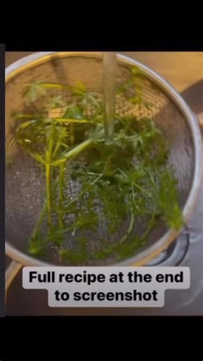 Cleavers are one of the best herbs for conditions affecting the lymphatic system. They are used for all manner of congestions in the body as well as for conditions of the skin and urinary tract. #cleavers #fyp | Folk Medicine And Remedies