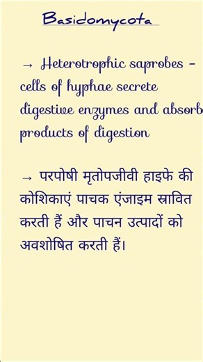 Basidomycota | Fungi #biology #lifeform #classification #education