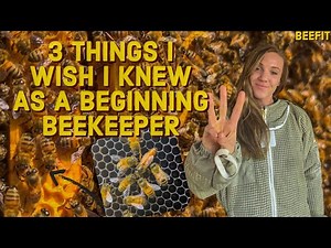 SPRING Beehive Check For Beginners | Beekeeping 101 #beekeeping