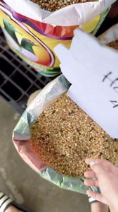 6.7K views · 168 reactions | May bird seeds na din tayo❤️ yey! | Farm Suppliers | Facebook