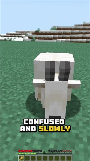 How to Survive a Goat Attack in Minecraft ! 🐐