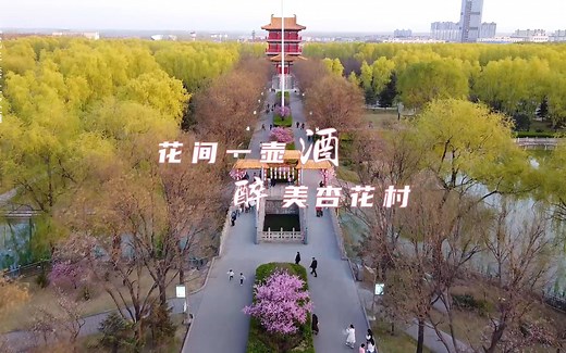 如何感知春日里的无限美好？