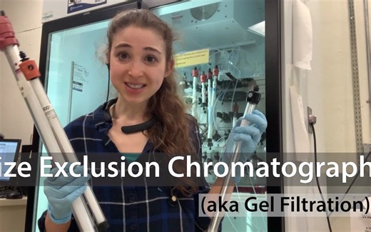 Size Exclusion Chromatography (aka Gel Filtration)_ theory _ practice of prepara