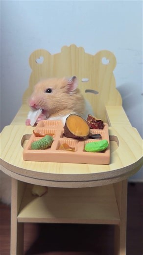 #syrian hamster#hamster#numeric keypad#mukbang