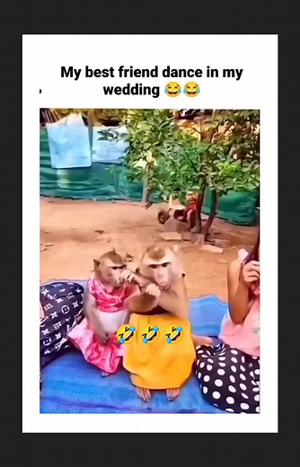 Funny Pakistan Video Compilation Trending Funny Videos