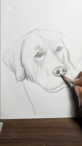 Quick Dog sketch #fortnite #art#shortsviral #dogshorts