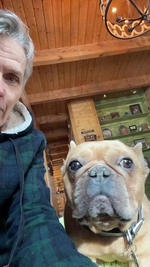 Exploring French Bulldog Puppy Care and Joy