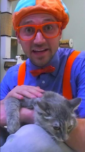Blippi's Pet Cat Care! | Animals for Kids | Educational Videos #blippi #pets #shorts