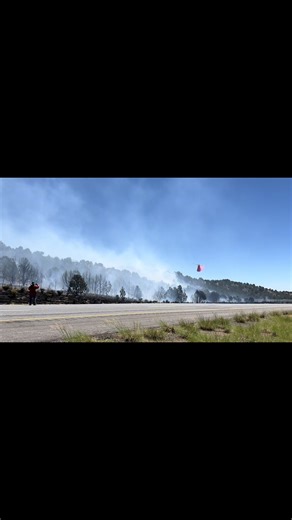 Empowered Female Firefighter Inspiring Change