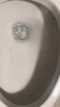 Fully installed 2021 glacier bay dual flush