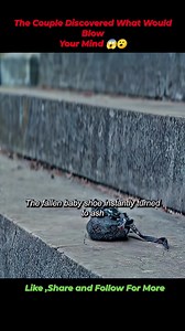 1.5M views · 14K reactions | The Room 2019 ‧ Thriller/Sci-fi This Couple bought an isolated house. While moving, they discover a strange room that grants them an unlimited number of material wishes. But since Kate has had two misc@rriages. #foryoupagereels #fypviral #reelsviral #movierecap #horror #Netflix #movierecommendation #movieclips #explorepage #mystery #thriller #drama #supernatural #fantasy #thrillermovies | Movies.Zone | Facebook