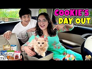 COOKIE's day out | Ep 737 | Full day in Car with Cookie | Life of a pet | Aayu and Pihu Show