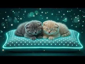 Entspannungsmusik für Katzen 🐾 Beruhigende Klänge für Ruhige Nickerchen und Zufriedene Katzen #61