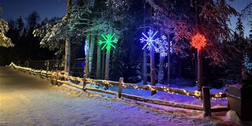 Dazzling displays at the zoo: Alaska’s annual ‘Zoo Lights’ is back