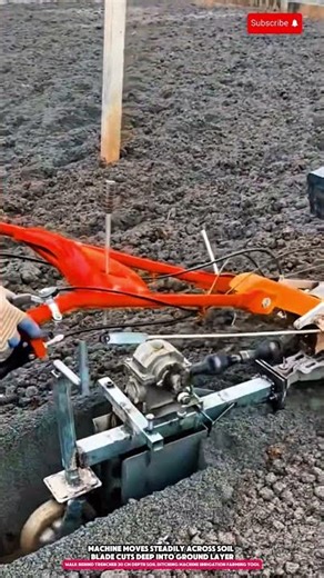 Walk Behind Trencher 30 cm Depth Soil Ditching Machine Irrigation Farming Tool