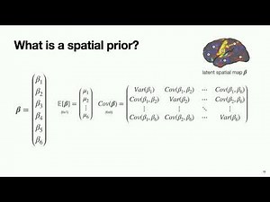 OHBM 2025 | Educational Course | Where is my signal? Spatial information in fMRI analysis | Part 2