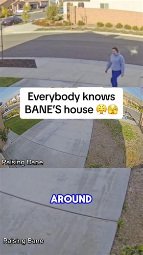 Exploring BANE'S House with Cane Corso and Funny Dogs