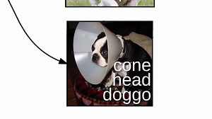 Hlepful informative chart walkthrough of doggo etymology (i almost put entomology but apparently thats studying bugs) - thank u Lucidchart | Another Doggos Page