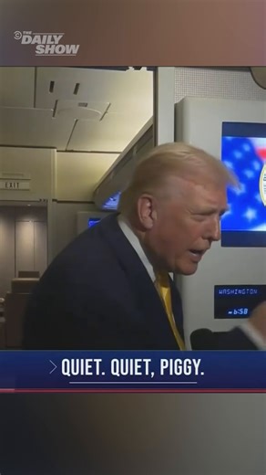 530K views · 6.2K reactions | EXPLAINED: Trump calls a reporter "Piggy" | The Daily Show | Facebook