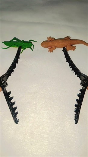 Let we all smile 🥰🥰❣️🥰🥰🙂🙂🥰🥰😁😇#countryballs #freepalestine #countryballsedit #shorts #shortsfeed