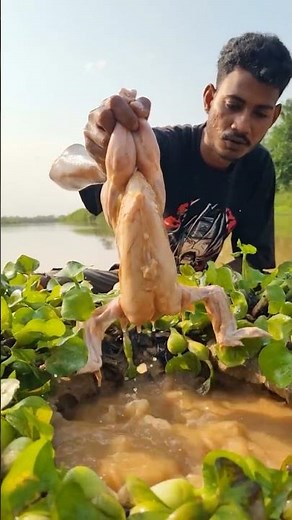 Unbelievable Technique Using Whole Chicken for Fishing in River Hole