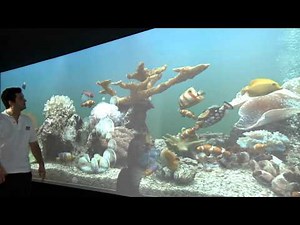 ViewSonic Projector Solutions Edege Blending Technology