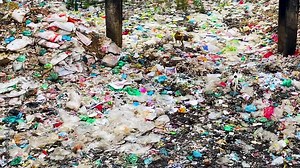 Stray dogs roaming a garbage and plastic landfill site. Panning