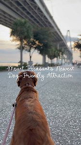 19K views · 151 reactions | One of Charleston’s Newest Additions ...
