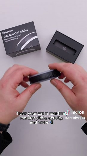 Tractive CAT 6 Mini: First Look at Smart Cat Collar