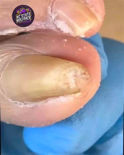 2959. Smart terms for label reading in everyday wellness explained #LabelSmart #EverydayWellness #SmartShopping | NC State Wolfpack on TheWolfpacker.com