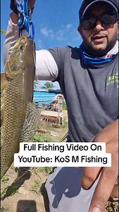 379K views · 3.2K reactions | Catching A Nice Wolf Fish In The River! Also Known As Wabeen (Guabine) or Houri. Check Out The Full Video On My YouTube Channel - KoS M Fishing #kosm #kosmfishing #YouTube #fishingvideos #wolffish #aimara #guabine #houri #hoori #anjumara #riverfishing #freshwaterfishing #trinidadandtobago #caribbean | KoS M Fishing | Facebook