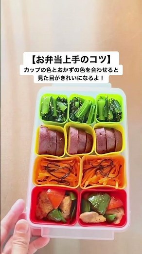 【時間がない方必見】お弁当作りがぐっとラクになる！作り置き小分け保存容器【スケーター株式会社 公式】 #スケーター株式会社 #便利グッズ