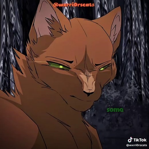 two song who fits the characters i love it || MY ART || SORRY I DONT POST AS MUCH AS BEFORE || it looked better in my head... || #warriorcats #fyp #scourge #firestar #tween