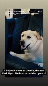 Guide Dogs Australia on Reels