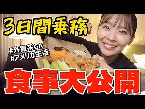 【客室乗務員】アメリカ国内線の仕事中に食べた物を全て公開します！【フライト】