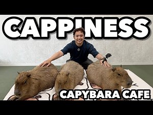 Japan’s Cutest New Café?! Capybaras Near Tokyo Skytree