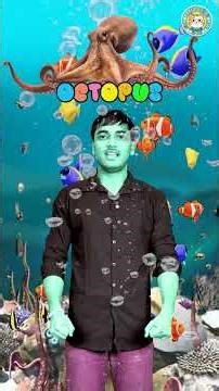 Fun Guessing Game for Kids | Learn 5 Sea Animals with Mystery Reveal