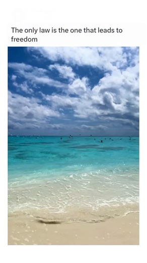 UNI NATURES on Instagram: "@uninatures for best nature videos 🏞️ (Via: Tinkerbelltravel /tt) "This Is Where I Live" is a 2014 documentary film that explores the lives of residents in the Van Cortlandt Village neighborhood of the Bronx, New York City. The film focuses on the stories of long-time residents, including a Jamaican immigrant family, a young artist, and a community activist, as they navigate the challenges of gentrification and urban change. Through intimate portraits, the documentary