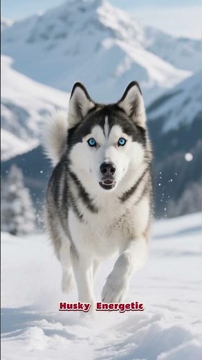 Top 10 Best Dog Breeds to Keep as Pets (Perfect for Families!) | Watch This Before Choosing a Breed!