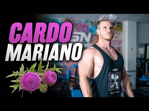 CARDO MARIANO 🌿 ¡Todos sus BENEFICIOS y cómo tomarlo!