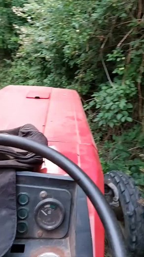 Red Tractor Navigates Overgrown Path in Nature