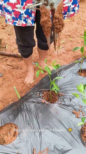 No-Bend 1-Second Seedling Planter 🌱💥#gardenhacks #satisfying #farming