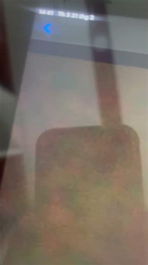 funny alphabetimals Google translate Thai Thailand #alphabetimals