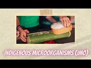 Concoction: ANG PAGGAWA NG INDIGENOUS MICROORGANISMS (IMO)