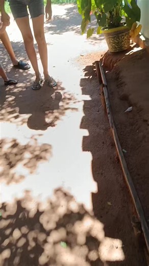 El reencuentro milagroso después de 33 días