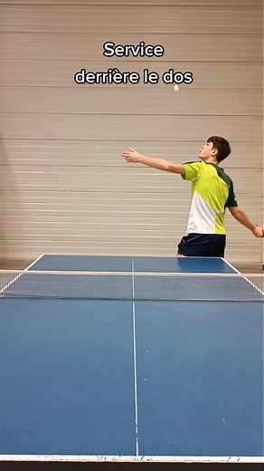 Découvrez les Meilleurs Services au Ping Pong