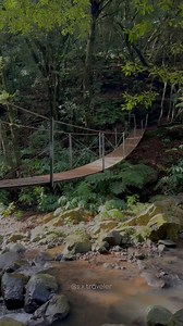 14K views · 1K reactions | This circular trail on Madeira’s southern...