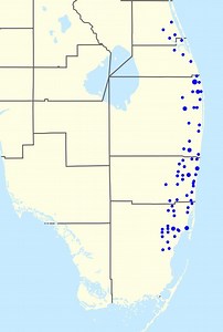 BankAtlantic - Alchetron, The Free Social Encyclopedia