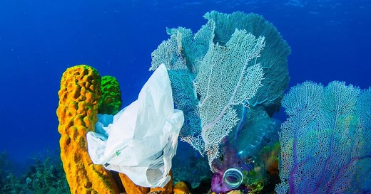 The Future of Plastics: How do we move to a new plastics economy?…