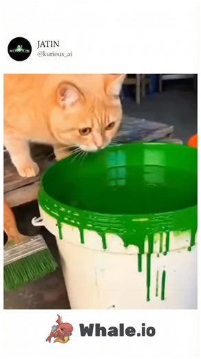 chaya Garg | Ai creator on Instagram: "在日本，研究人员正利用智能人行道将日常活动转化为清洁能源⚡。这些道路内嵌特殊的压电材料，可以从行人的脚步中收集动能。当人们行走、奔跑或跳跃时，路面会轻微变形，从而产生机械压力。压电晶体将这种压力转化为电能🔋。 这些能量可用于照亮路灯、为公共显示屏供电，甚至监测行人流量。这种技术不仅减少了能源浪费，还展示了未来城市的无限可能🌍。 在东京、京都等城市的试验区，人们的每一步都在为绿色地球贡献力量💚。科技让生活更环保，也让每一个脚步更有意义✨"